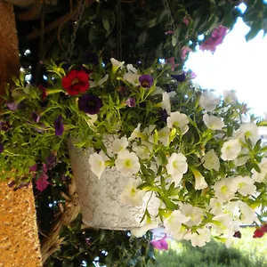 Su Paradisu , Olbia Italia